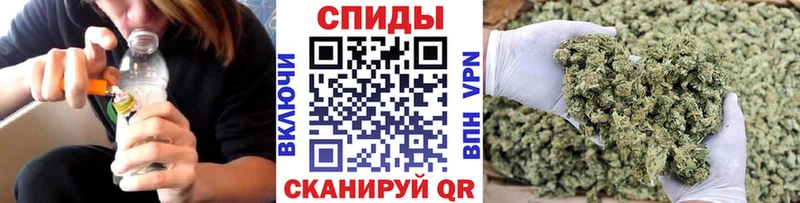blacksprut ТОР  Шахунья  БУТИРАТ бутандиол  где купить  