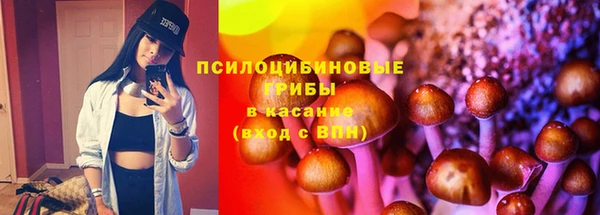 прущие грибы Липки