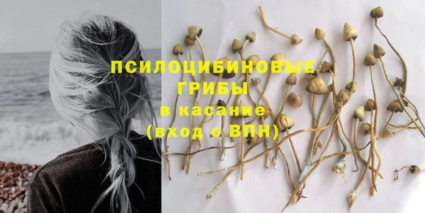 прущая мука Ладушкин