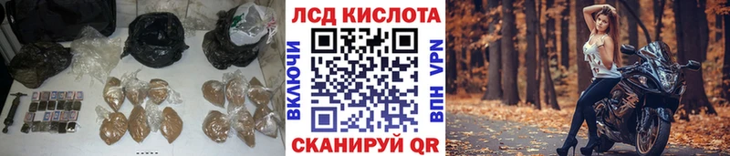 ЛСД экстази кислота  OMG маркетплейс  Шахунья 