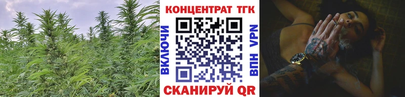 где купить наркоту Шахунья Дистиллят ТГК жижа
