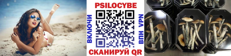 Галлюциногенные грибы MAGIC MUSHROOMS Шахунья