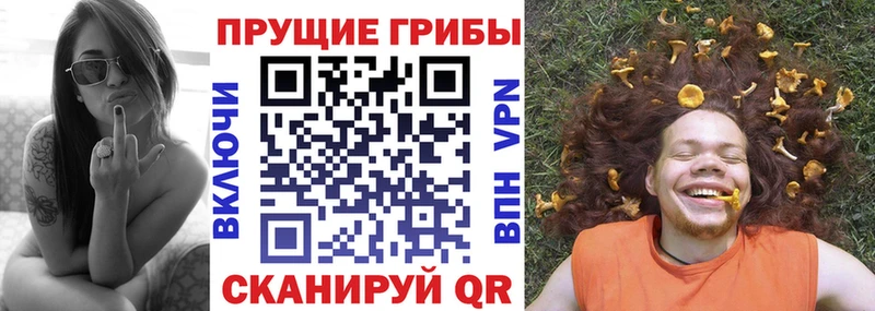 Галлюциногенные грибы Cubensis  Шахунья 